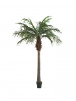 8ft Palm Tree Prop 2