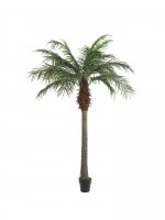 8ft Palm Tree 1